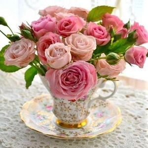 Meet your Posher, Vicky